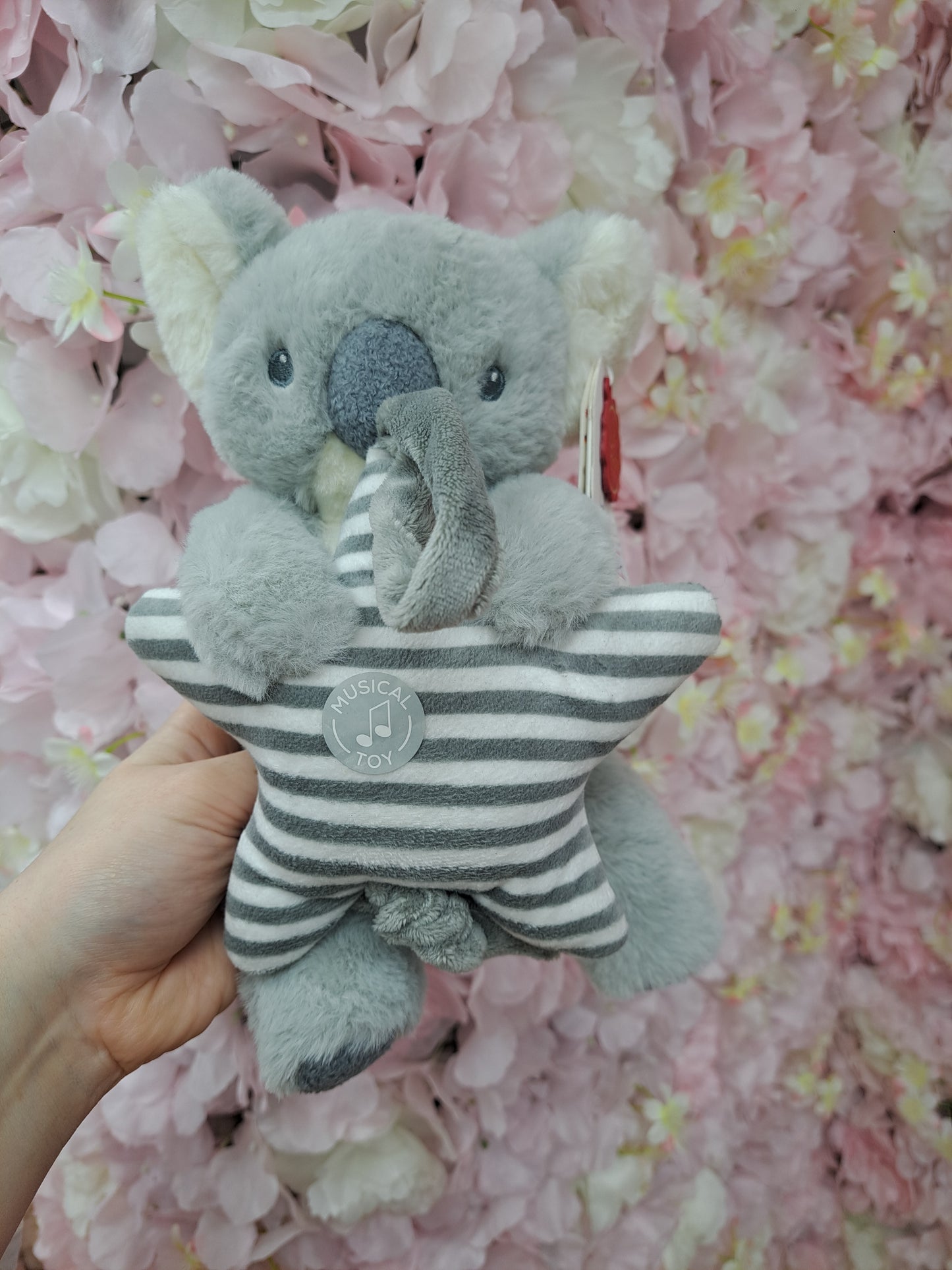 Musical Koala