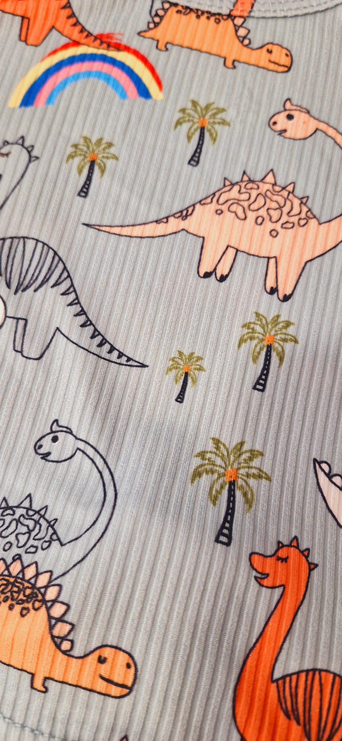 Rainbow Dinos Set