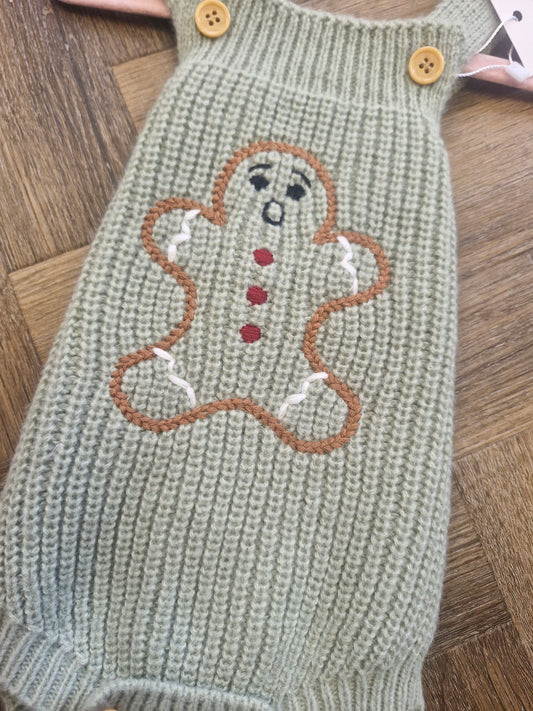 Baby Gingerbread Man Sage Green Romper Preloved
